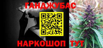 шишки Балашиха
