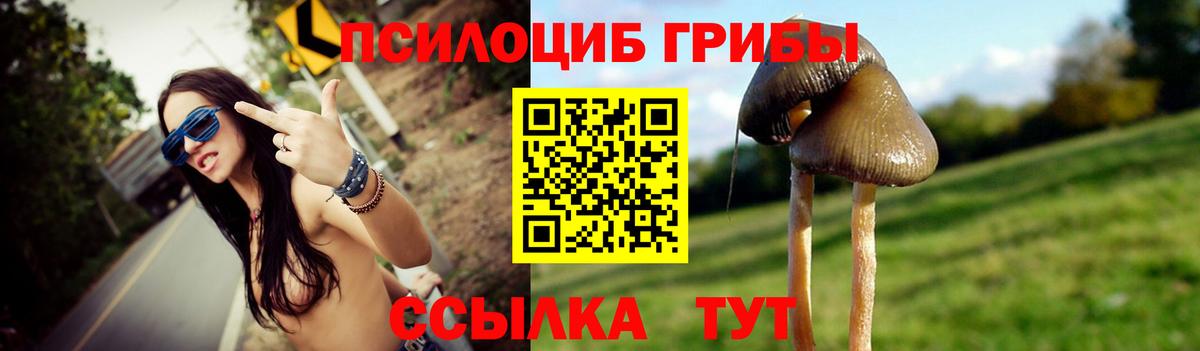 Псилоцибиновые грибы Magic Shrooms  Богородск 