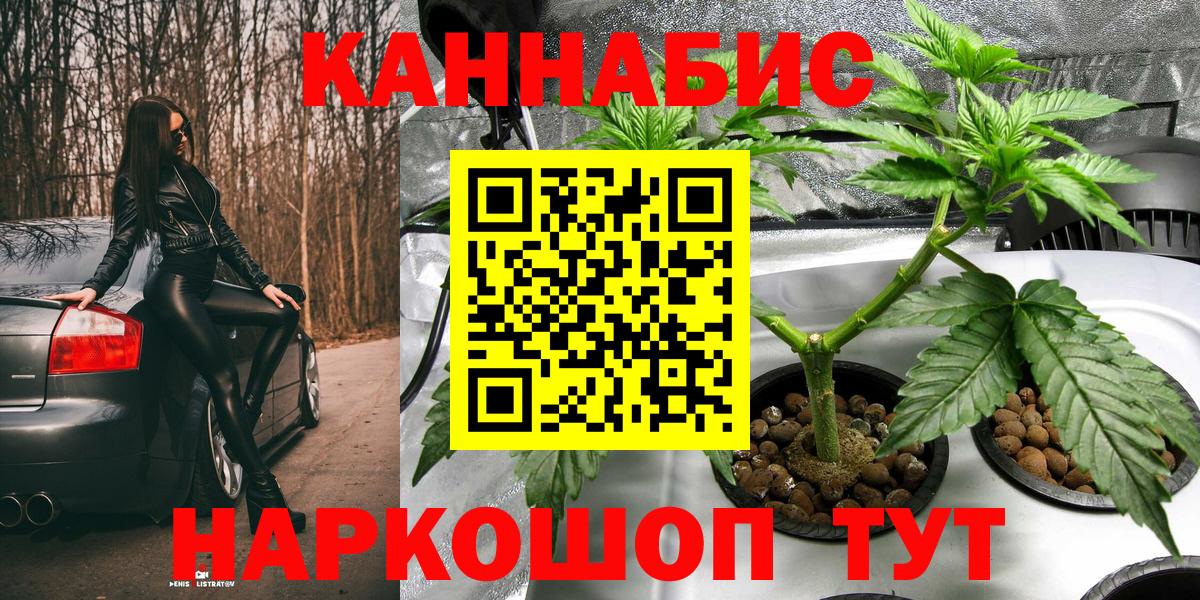 Конопля сатива Богородск